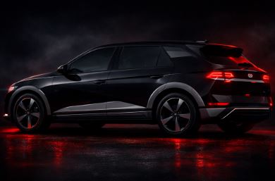 Hyundai vibe image 2